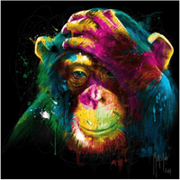 Colourful Monkey - Diamond Art Kit