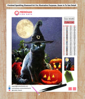 Midnight Halloween Cat - Halloween Collection Diamond Art