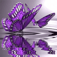 Purple Butterflies - Diamond Art Kit