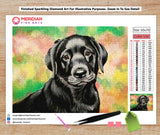 Black Labrador Retriever - Diamond Art Kit