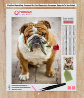 Bulldog Valentine - Diamond Art Kit