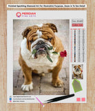 Bulldog Valentine - Diamond Art Kit