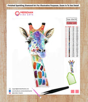 Colorful Giraffe 8 - Diamond Art Kit