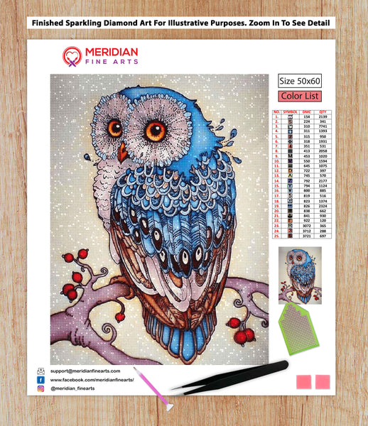 Cute Owl - Diamond Art Kit