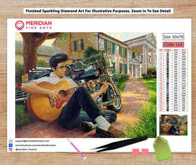 Elvis Playing Guitar - Diamond Art Kit