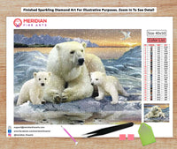 Polar Bears - Diamond Art Kit