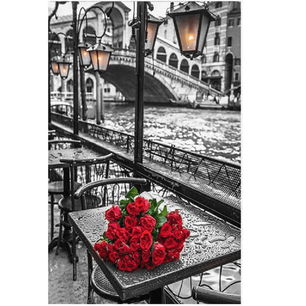 Red rose by the canal