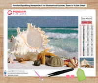 Sea Shell Picture 5 - Diamond Art Kit