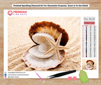 Sea Shell Picture 6 - Diamond Art Kit