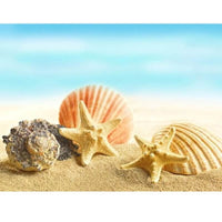 Sea Shell Collection 4 Diamond Art