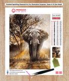 The Mighty Elephant - Diamond Art Kit