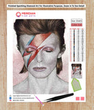 Ziggy Stardust - Diamond Art Kit