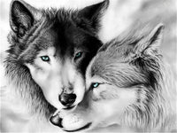 Black And White Wolves - Diamond Art Kit