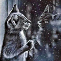 Cat At The Window - Diamond Art Kit