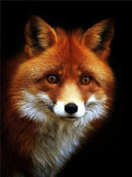 Red Fox Portrait - Diamond Art Kit